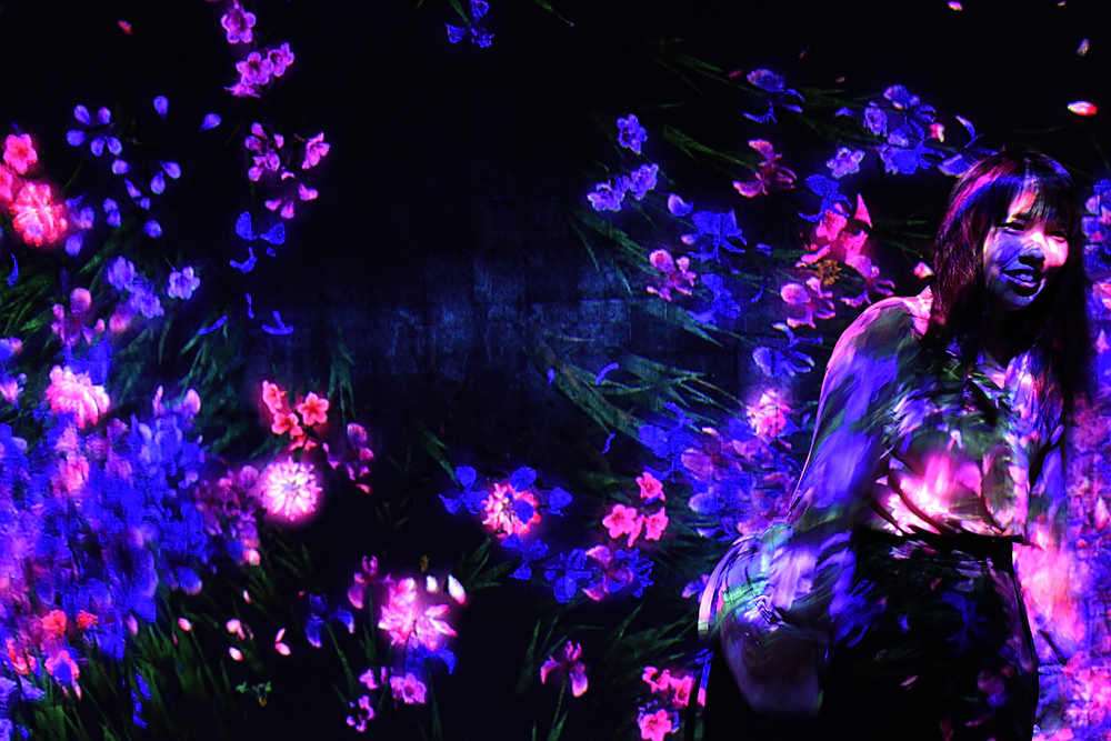 Borderless_1000px_DSC_5395