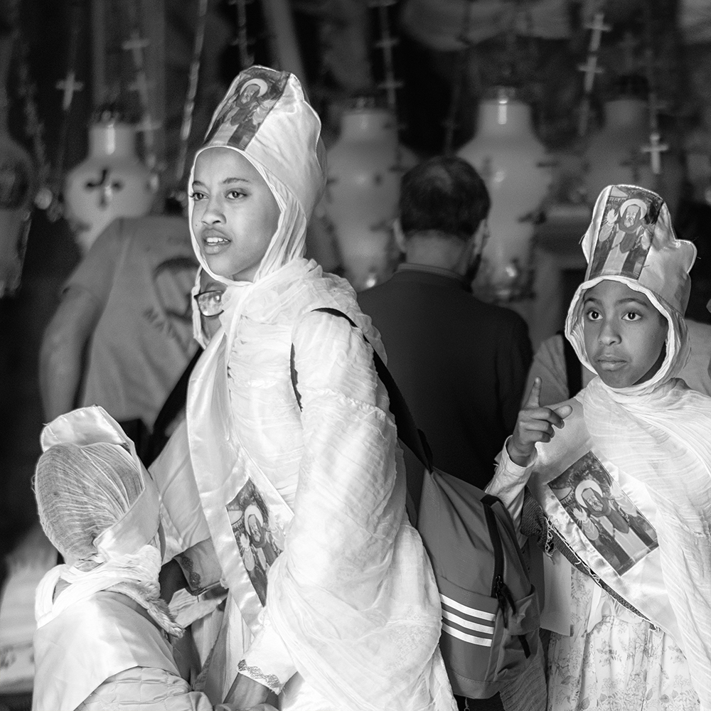 DSC_2846_cut2_1000px