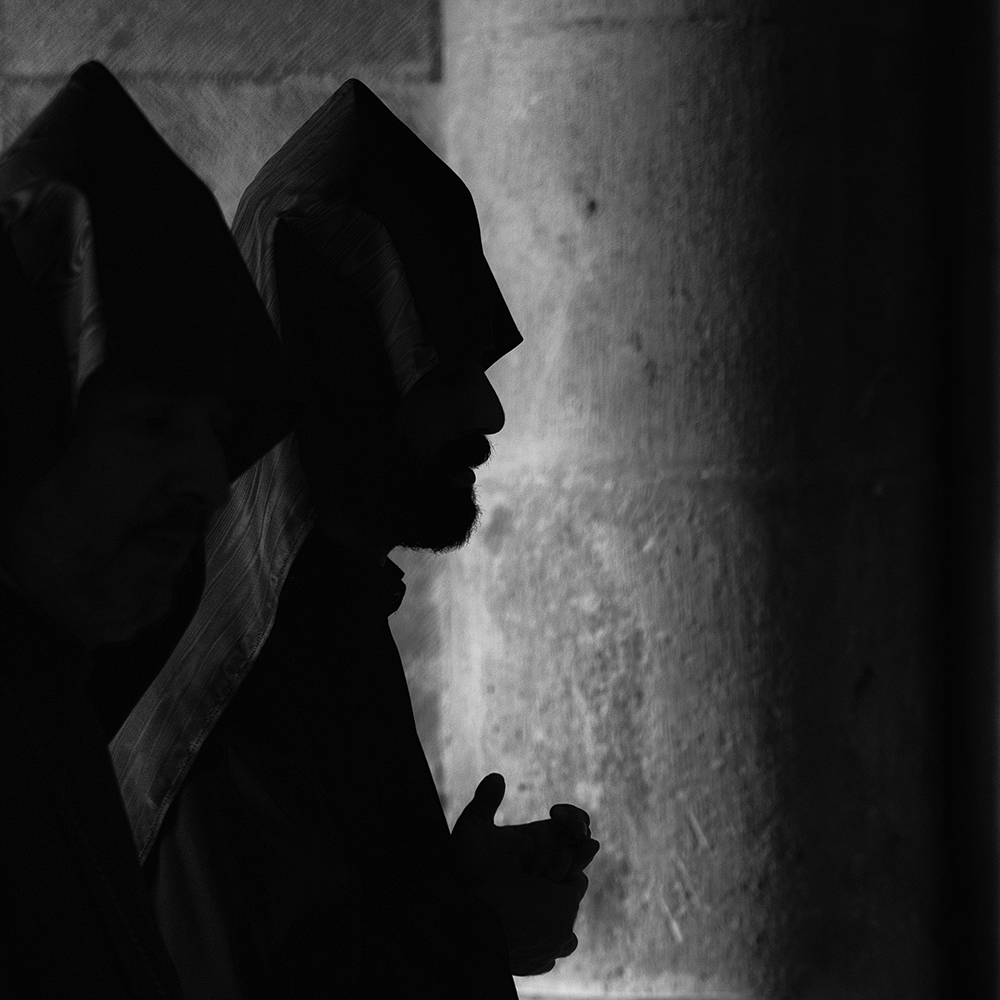 DSC_3360_cut_1000pxpx