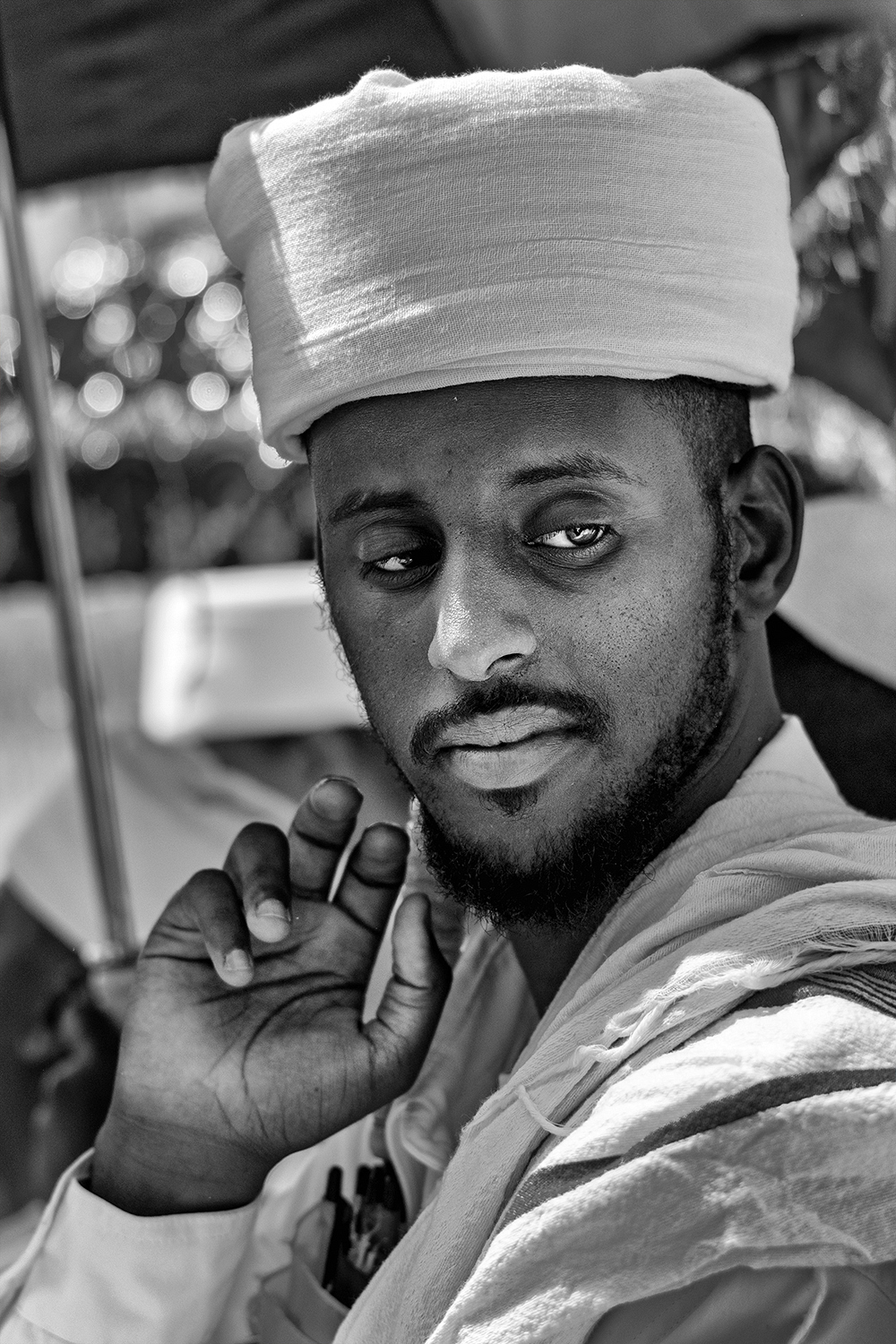 DSC_3535_cut_1000pxpx