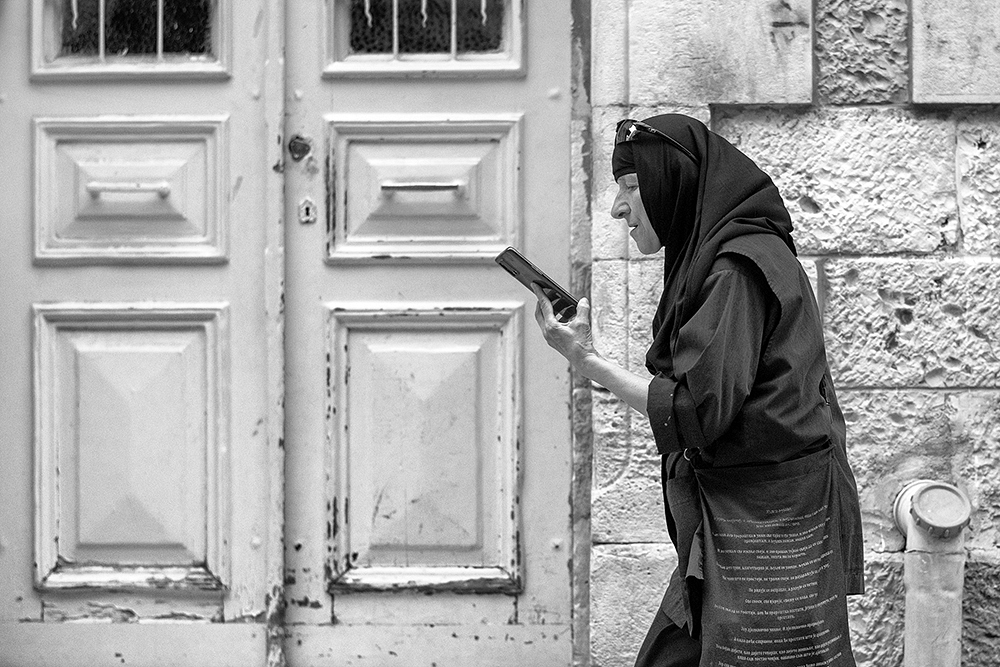 DSC_3719_cut3_1000pxpx