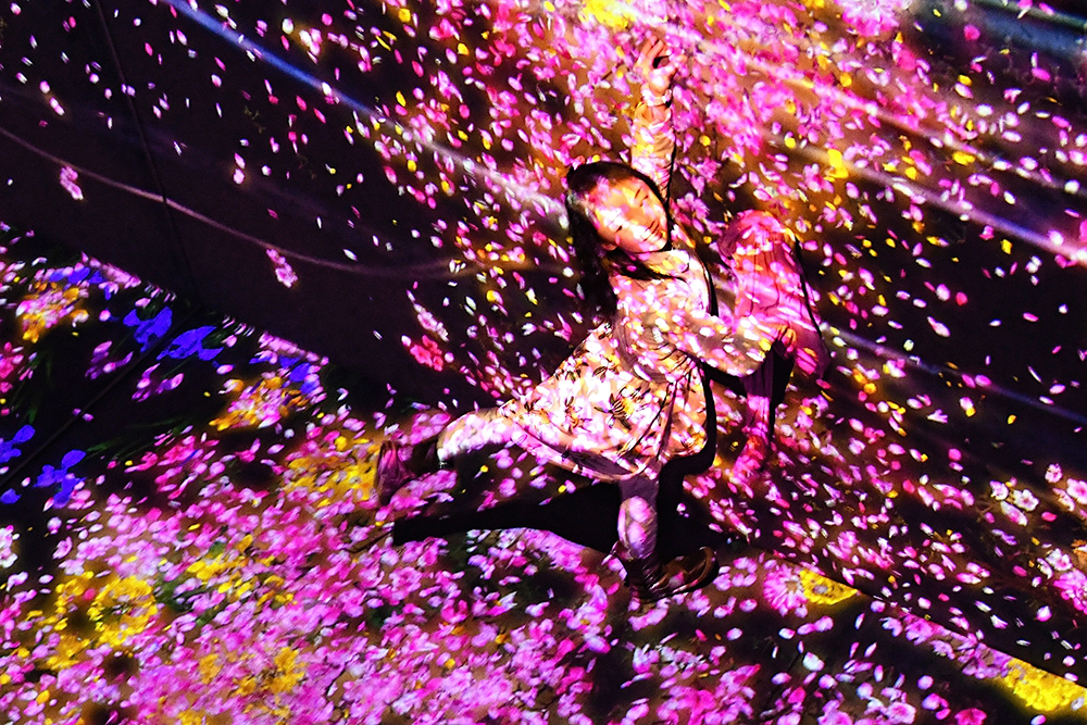 borderless_1000px_DSC_5463_cut2