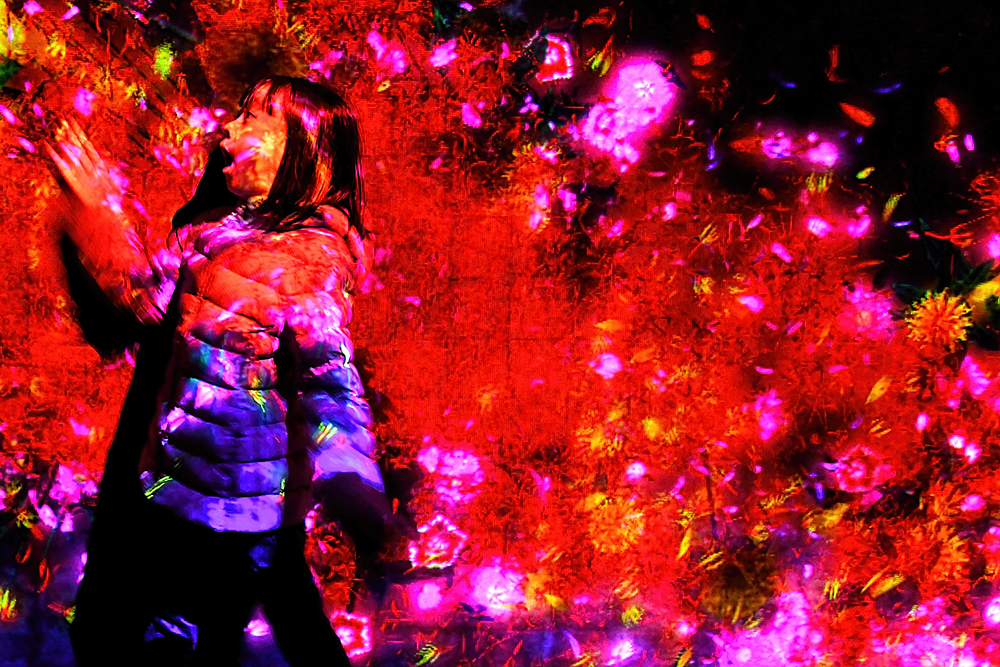 borderless_1000px_DSC_5531cut