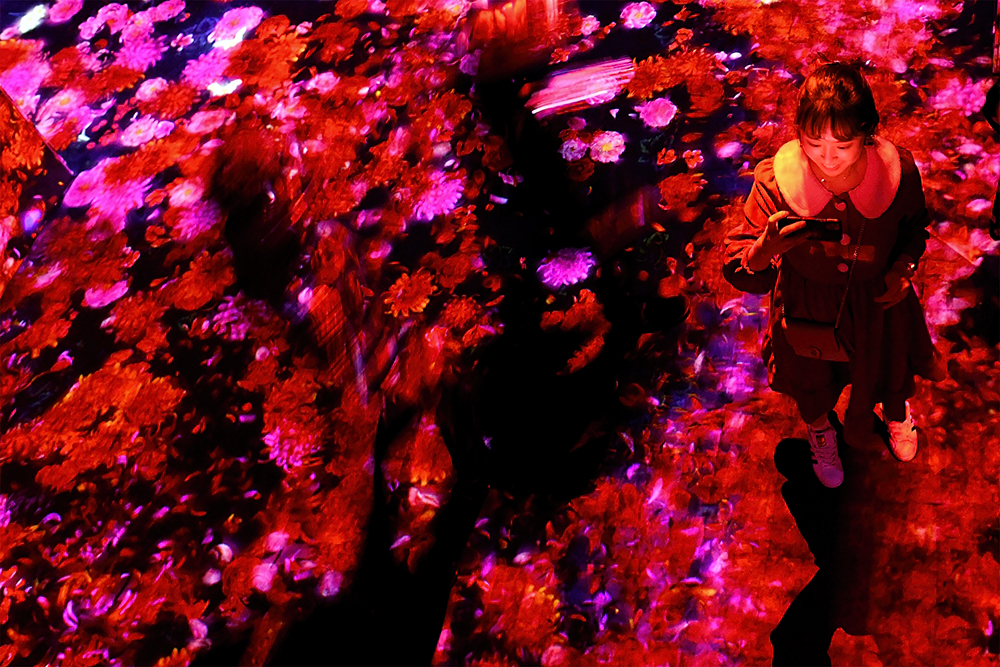 borderless_1000px_DSC_5772