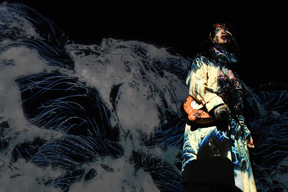 borderless_1000px_DSC_5886_cut