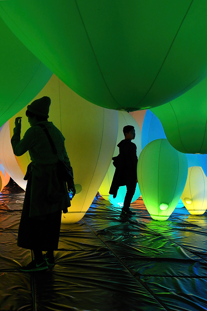 borderless_1000px_DSC_5924_cut_2_3