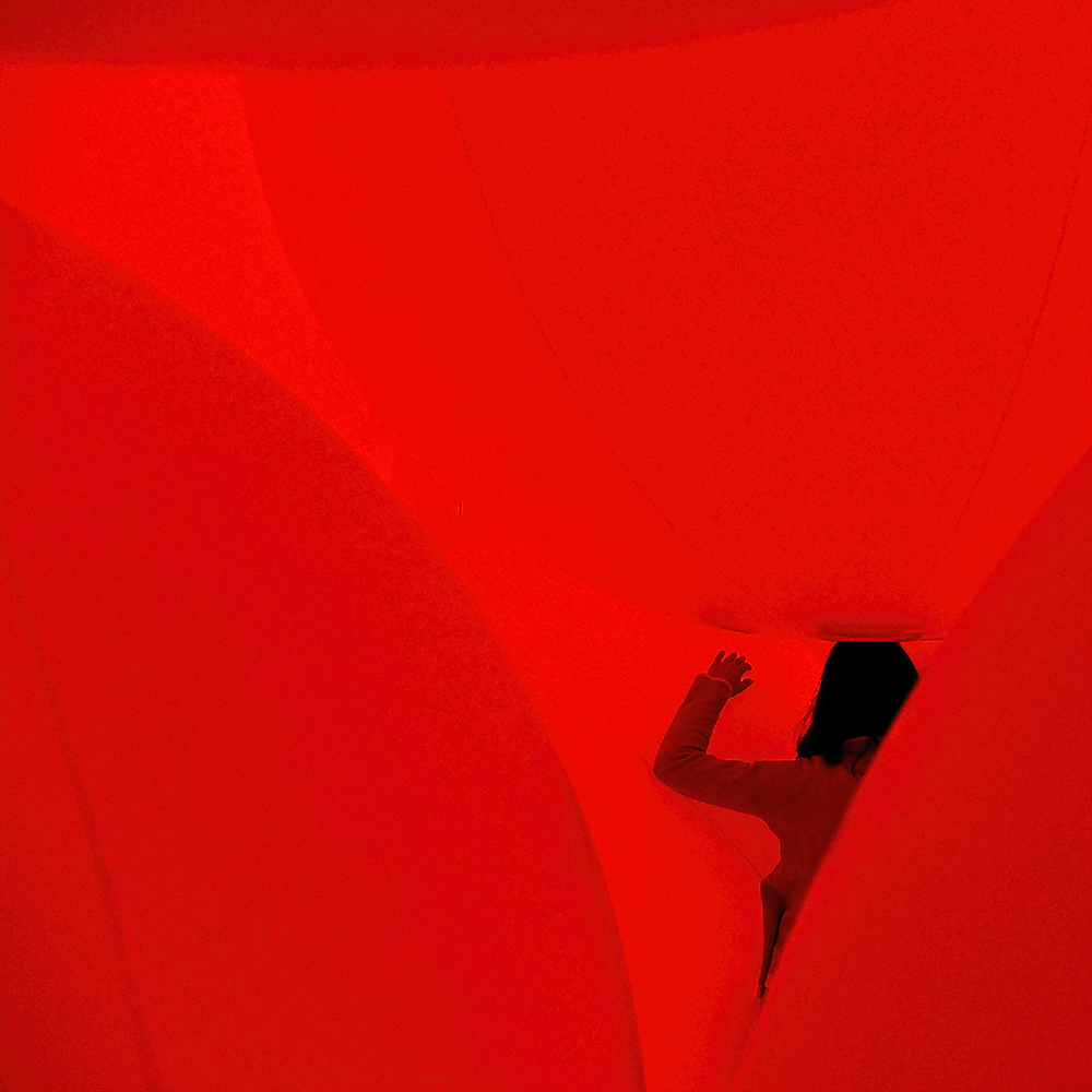 borderless_1000px_DSC_6214