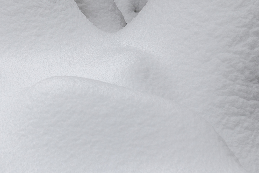 snow_21_1000px_DSC_4531