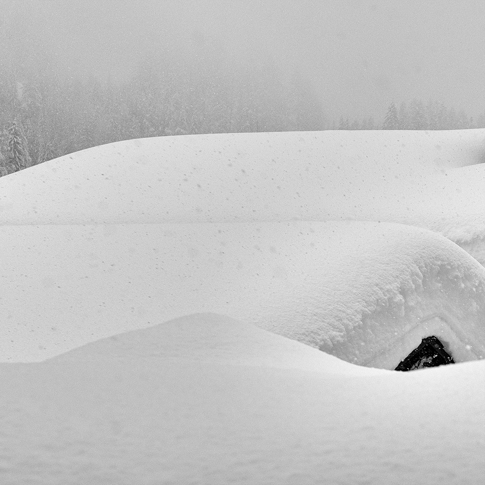 snow_21_DSC_4189_square