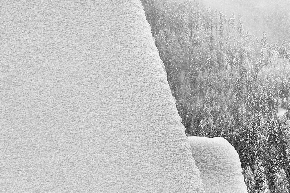 snow_21_DSC_4319_1000px