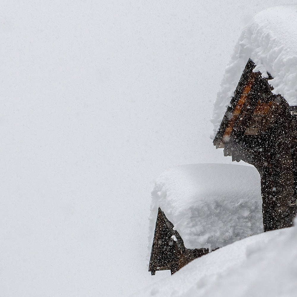 snow_21_cut_1_1_1000px_DSC_4303