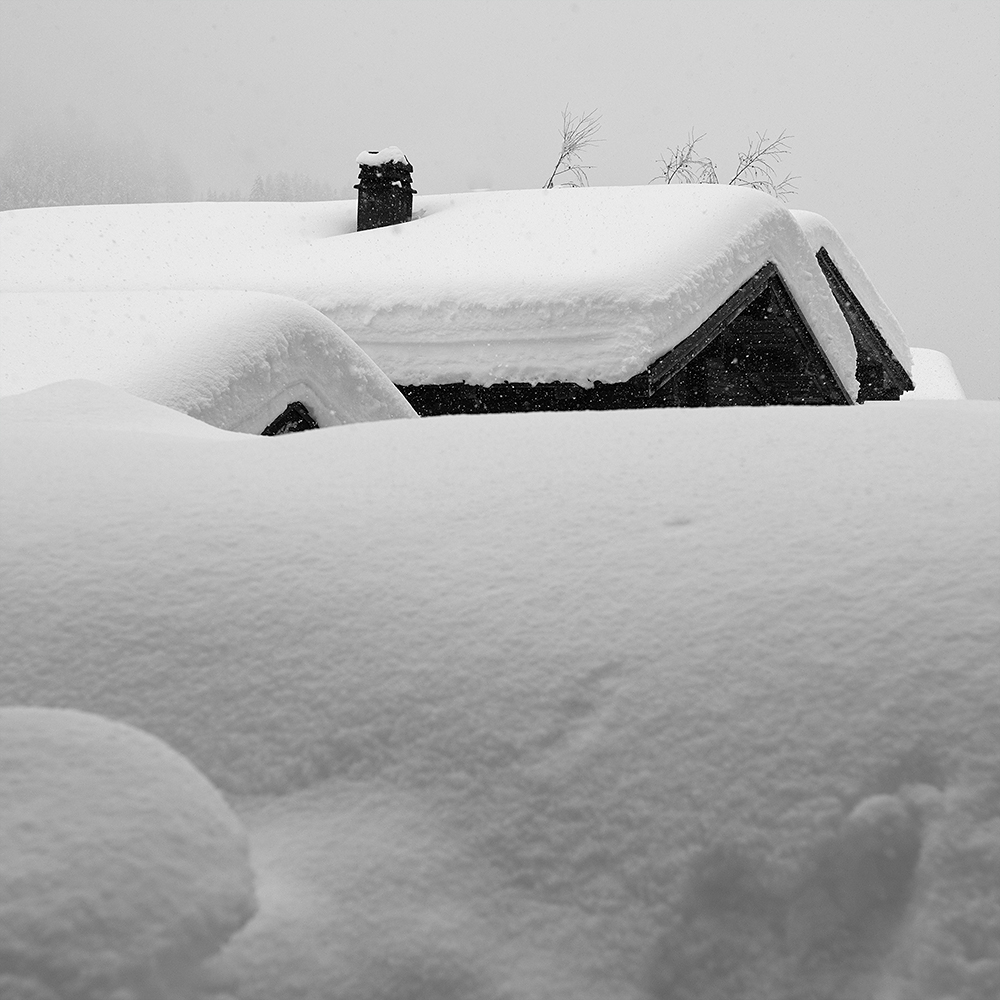 snow_21_cut_1_1_DSC_1000px_2a_4189