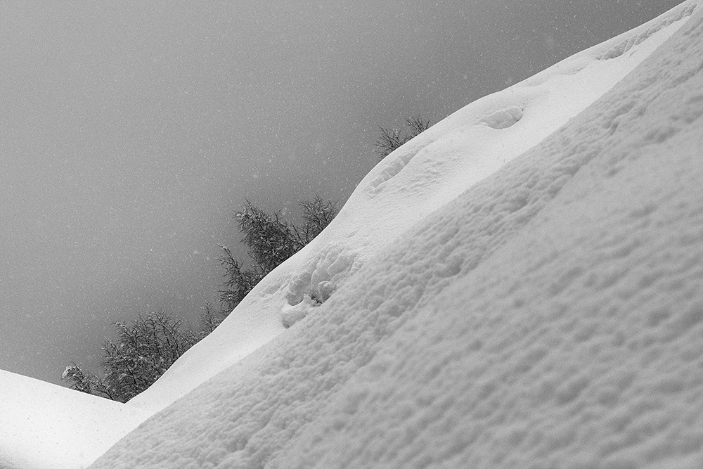 snow_21_cut_DSC_4206_1000px