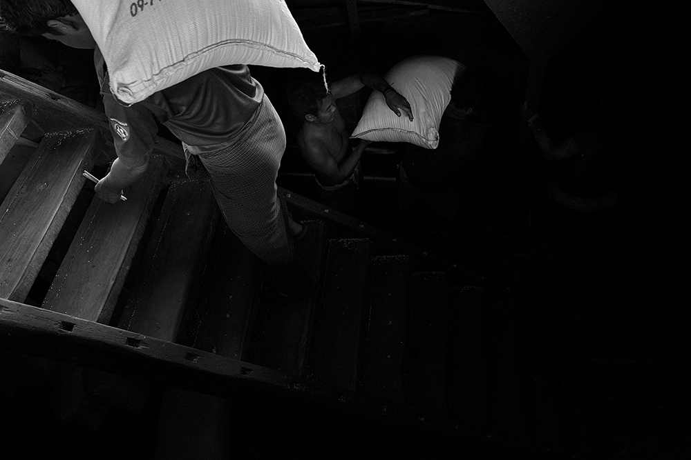 5_stevedores_2018_DSC3770