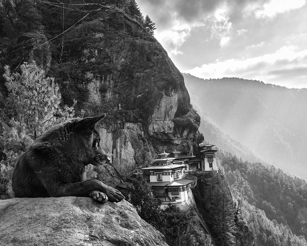 bhutan_5_4_DSC0574