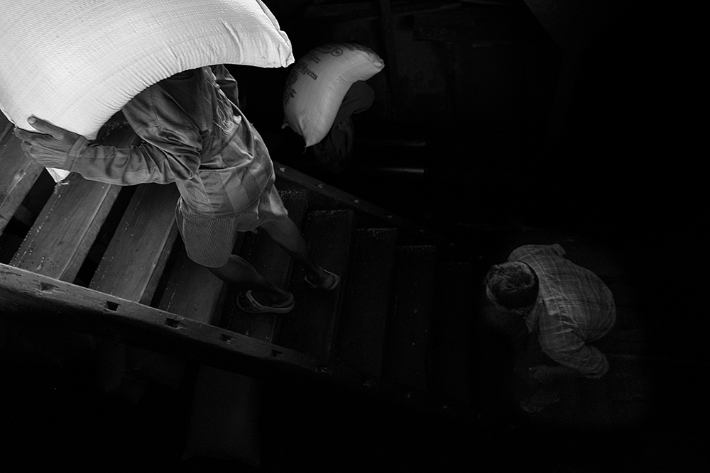 stevedores_2018_DSC3799